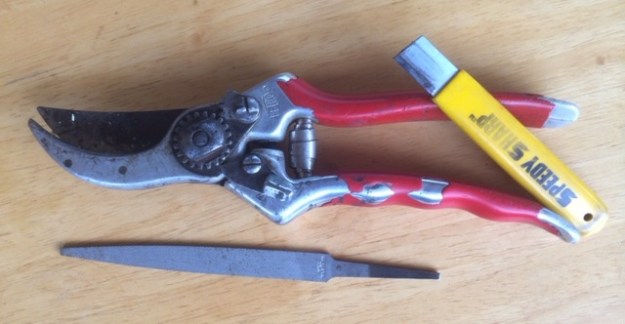 My trusty old Felco #2's. Vinyl cracking and wearing off the grip, with multiple replacement blades and springs w/ my 4" flat file and hone.