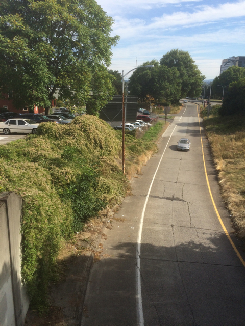 Looking east from the  overpass on Naito at the Clematis vitalba burying the bank and blackberries