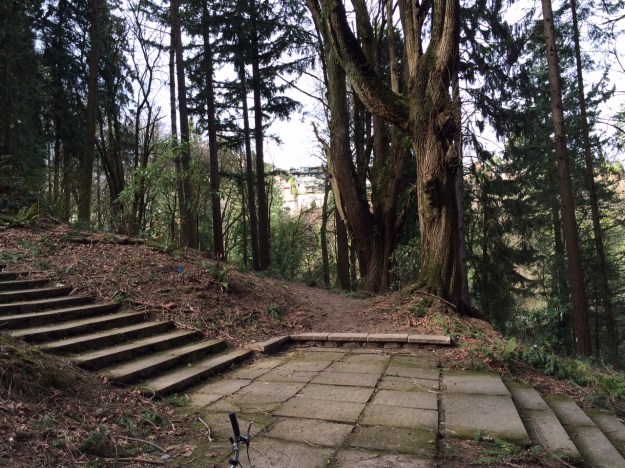 These stairs, within the Garden, are part of the same path that began near the Stearn's entrance.  This is the upper path that continues on and to the left just above W. Burnside.