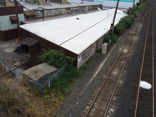 This building lies south of the South East site.  A very common problem between properties, especially when access is limited, often results in these weedy edges.  Here the brush is the invasive Buddleia davidii, poised to infect the site.  Buddleia d. is a relative newcomer to our weed repertoire, but is rapidly asserting itself in the landscape.