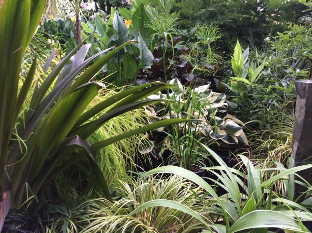 Strappy, green, gold, burgandy, white even some green and other stuff in there by the 'Pond'