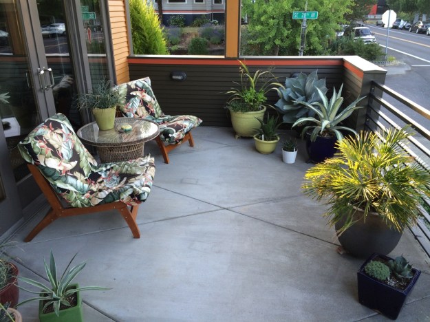 Looking east across the patio