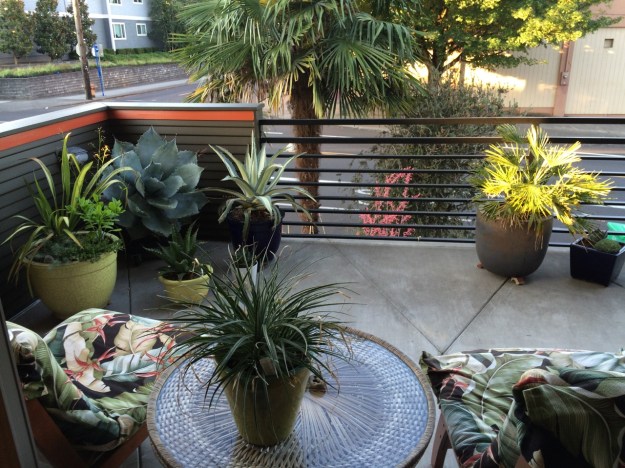 Looking out of the sliding doors on to our raised front patio.