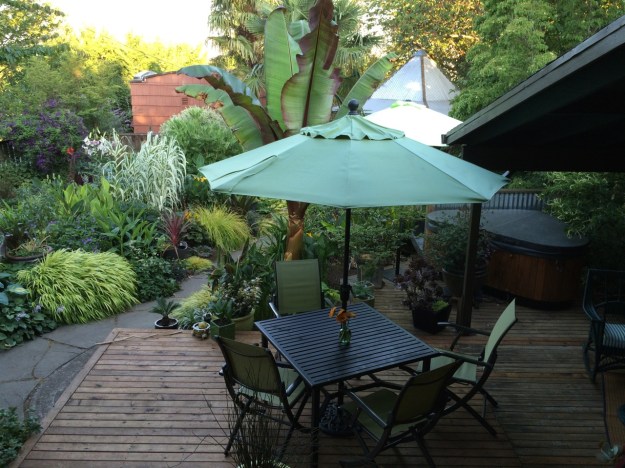 A view from Julie's new favorite perch on the back porch (where I'm writing this!)