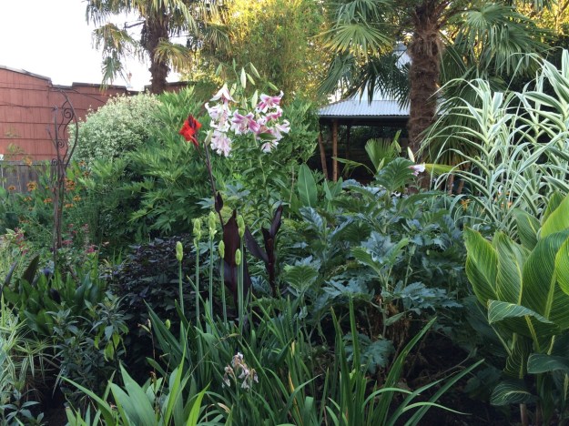 Looking, northerly back across the garden.