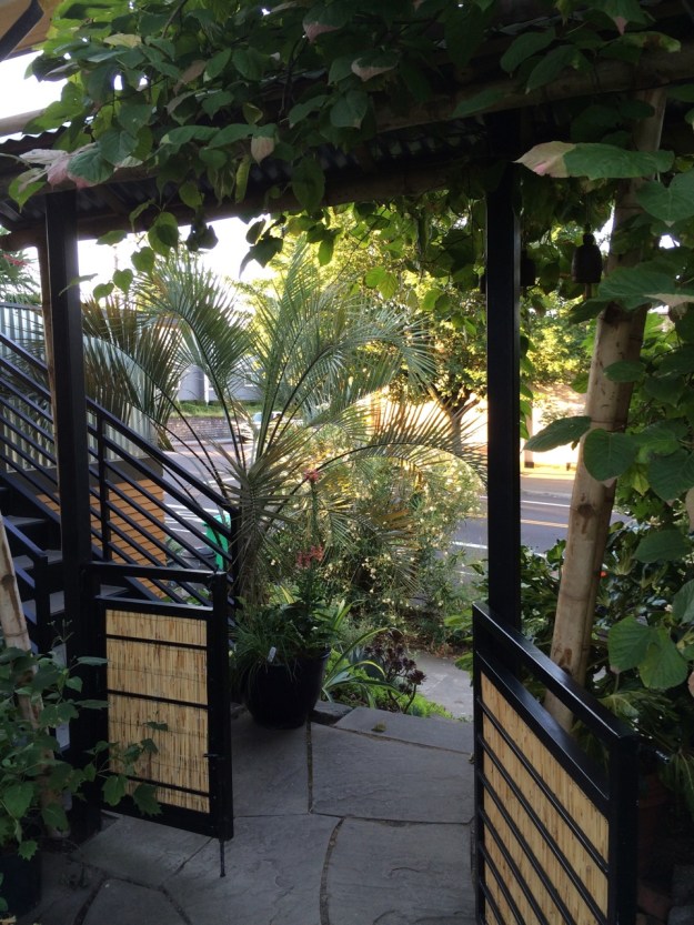 This shows the gate, built by Madden Fabrication, who also did all our other steel work on the house and adjacent stairs.