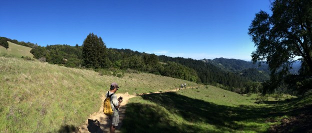 The western coast of North America is home to an amazing array of landscapes each with its particular climate and range of soils.  This is in the California coastal range looking southerly towards the distant Bay area across meadow, native Coast Live Oak, Doug Fir and the Coast Redwood of the Armstrong Grove in the lower creek bottom land.