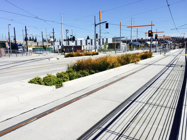 A couple of more 'green streets'/ bio-swales amongst a sea of concrete.