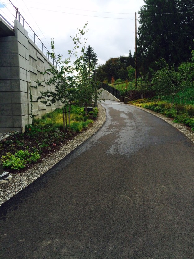 The 'steepest' part of the path getting up to rail grade.