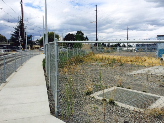 This fenced off service area along the curving tracks of the Orange Line is set up as another 'dead zone' that will have to be maintained clean. It currently contains mature Horseweed amongst others which can infect adjacent landscapes.