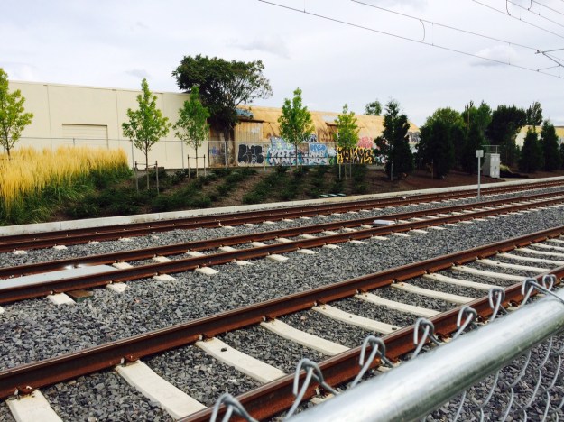 Here the far planting displays the open spaces between the plants which will be very susceptible to invasion. The far third set of tracks is for the regional carrier, Southern Pacific trains.