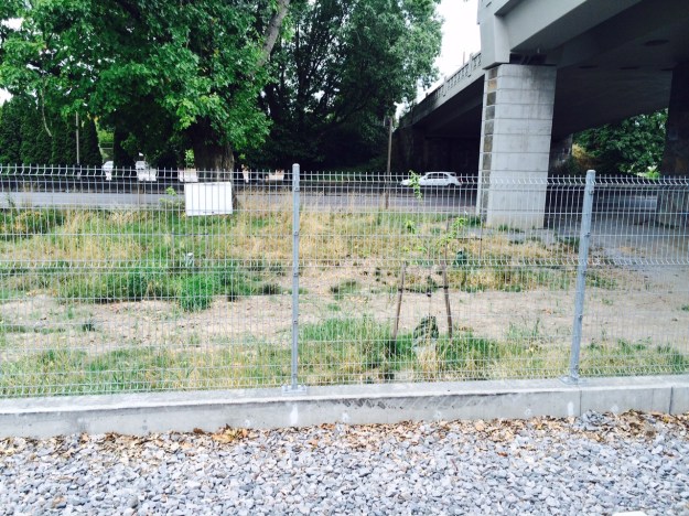 This is looking west from the station platform toward Mcloughlin Blvd.