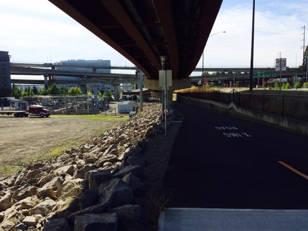 With the Orange LIne above the bank below has been armored with 'rip-rap', broken rock. To the right, in heavy shadow is a lot of Blackberry starting out which can quickly fill the space including the back path and the 'rip-rap' if left untended. Many weeds are perfectly adapted to invading rip-rap especially over time as dust and debris accumulate within it. The rip-rap makes pulling, digging or hoeing nearly impossible leaving you only with cutting or spraying. It also makes footing more trecherous.