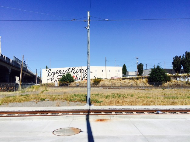 Every plant you see here, though in their end of summer baked form, is a weed, including the trees. This is what dominates this corridor and has for decades.