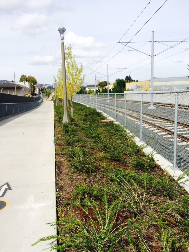 This makes my engineered claim. This landscape serves simply as a buffer. The built landscape does not 'magically' float on otherwise healthy soil. The 'engineered' bases of structures spread out from the finished surface. Stability is the priority.
