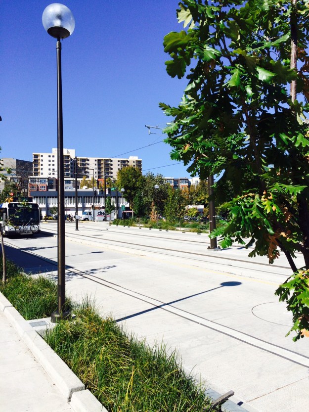 This is Lincoln St. There is very little in its 4 blocks that street trees and narrow green streets plantings.