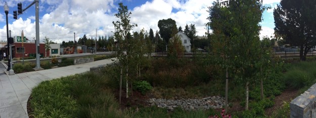 North of the stop is a large triangular bio-swale that takes much of the water from the new hard surfaced areas.