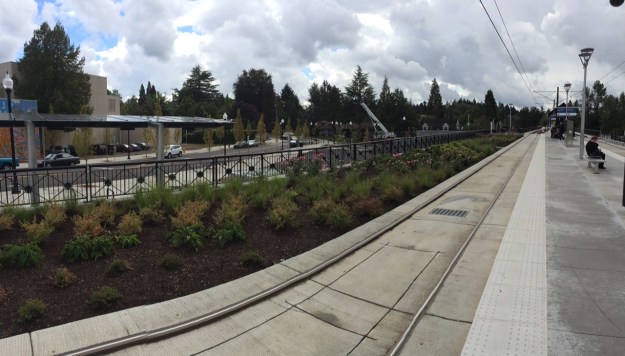 From the platform looking east. This is planted with xeric species.