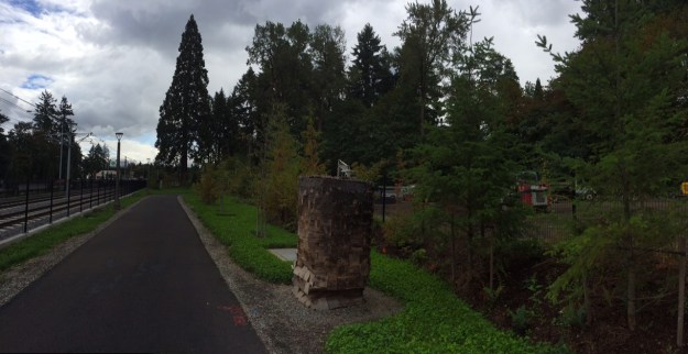 This piece of public art is surrounded by more Dutch White Clover at its base with a narrow native planting including Doug Fir, Western Red Cedar and Amelanchier, Serviceberry.