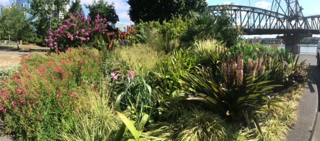 High summer with a wide angle distorting it a little but....