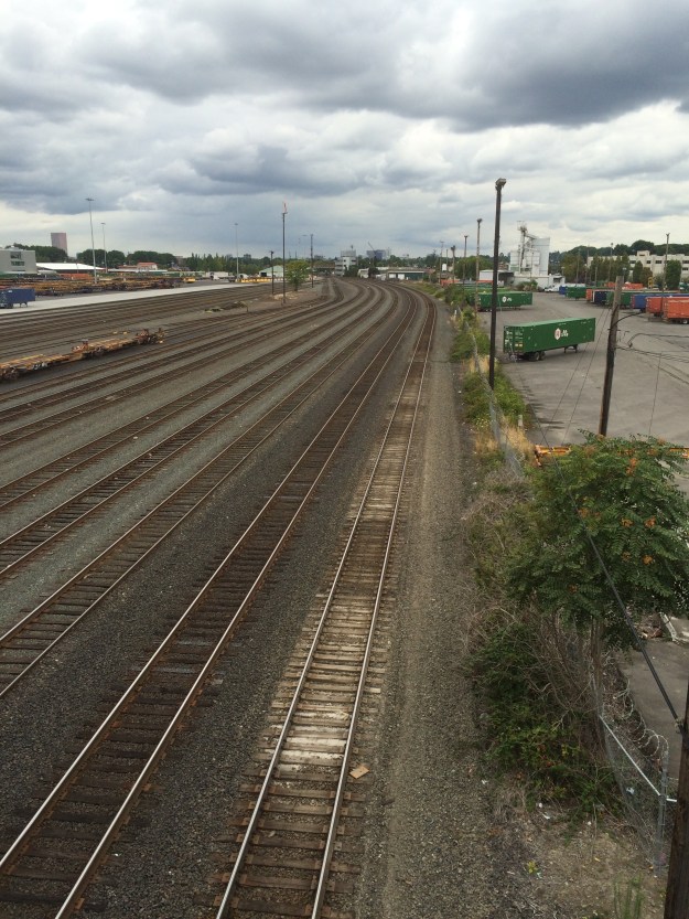 The Brooklyn switching yard. These areas must be kept clear. The fence line to the right, next to the container yard, is typical, here filled with common weeds, aggressive invasives and Tree of Heaven.