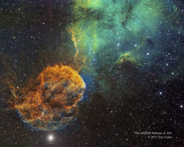 Sharpless 249 and the Jellyfish Nebula Image Credit & Copyright: Eric Coles
