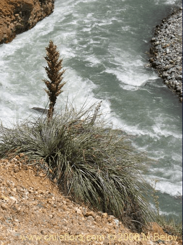 Screen Shot 2019-02-11 at 12.57.20 PM