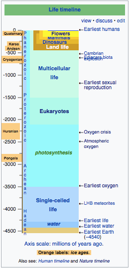 Screen Shot 2018-01-26 at 7.21.50 AM